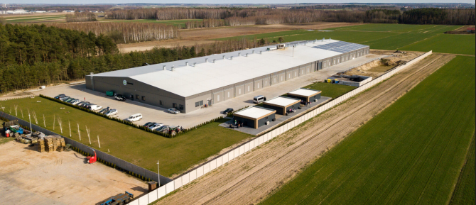 Producent pieczarek <strong> +52% </strong> wydajność fotowoltaiki